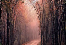 竞技宝官网：崛起！05后小将集体闪耀中超，伊万为何不再大胆一点？.