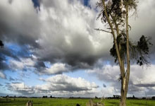 [德甲]保持不败 勒沃库森排名首位.