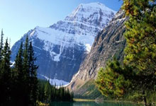 WTT重庆冠军赛落幕，国乒包揽男女单冠亚军环球时报.